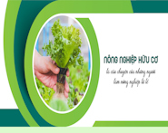 Nông Nghiệp Hữu Cơ - là câu chuyện của những người làm nông nghiệp tử tế