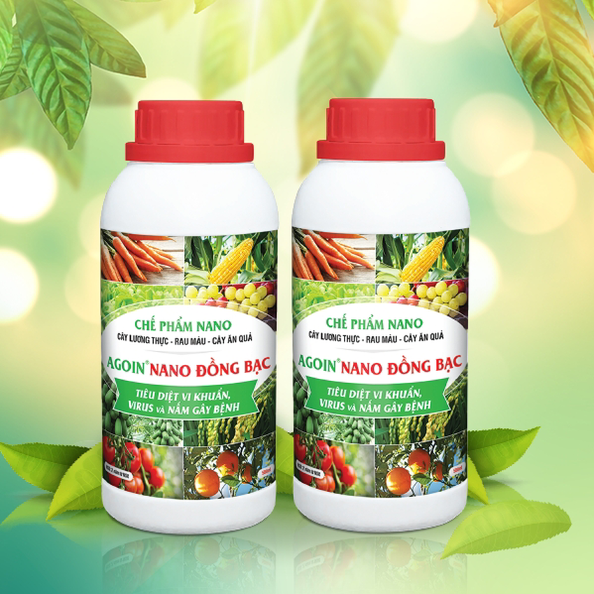Nano Đồng - Bạc