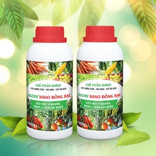 Nano Đồng - Bạc