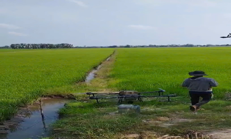 THỰC TẾ ĐỒNG RUỘNG LONG AN: "CUỘC ĐỐI ĐẦU" GIỮA CÔNG NGHỆ SINH HỌC AGOIN VÀ HÓA HỌC TRUYỀN THỐNG